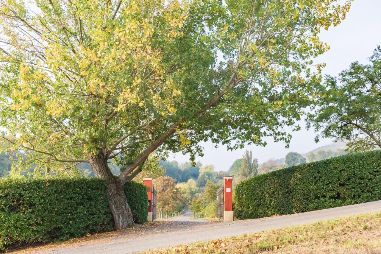 サッソ・マルコーニ カ パラッツォ マルヴァシア Bed & Breakfast エクステリア 写真
